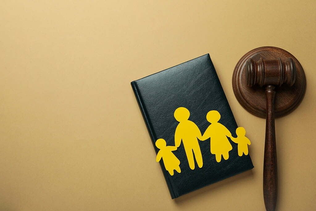 Family Court Cases